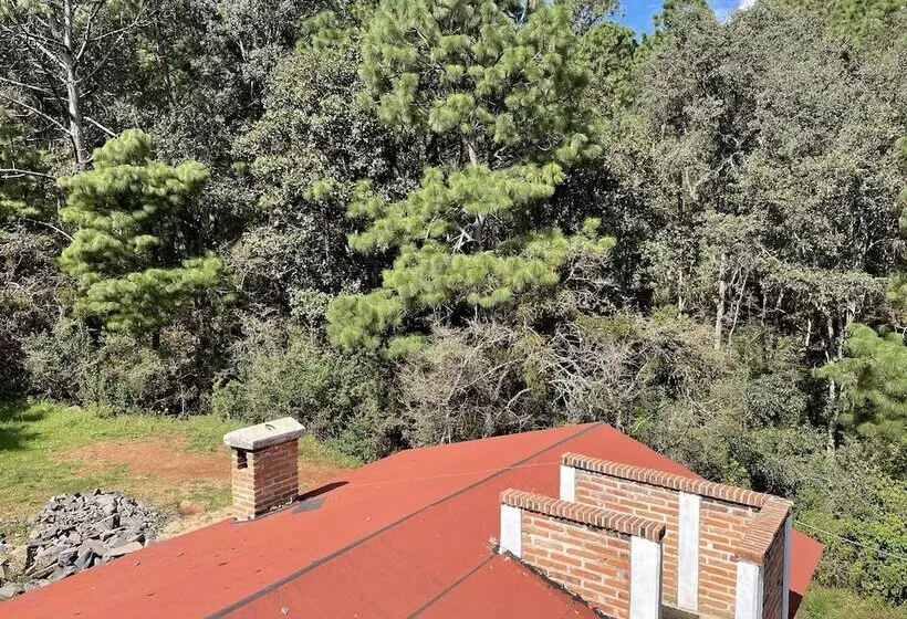 ホテル Cabañas Los Pirineos