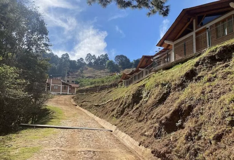 ホテル Cabañas Los Pirineos