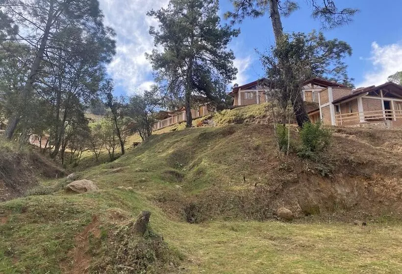 ホテル Cabañas Los Pirineos