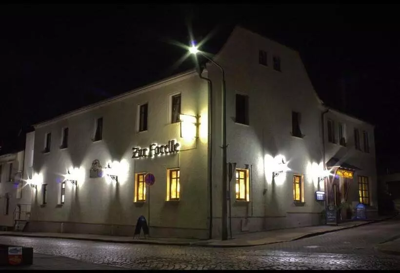 ホテル Pension Gasthaus Zur Forelle