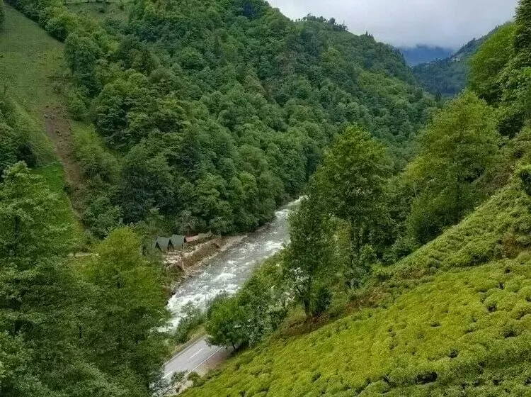 Hotelli Purkinora Bungalov