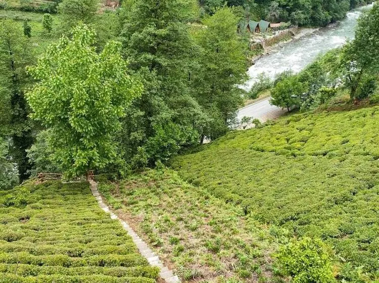 Hotelli Purkinora Bungalov