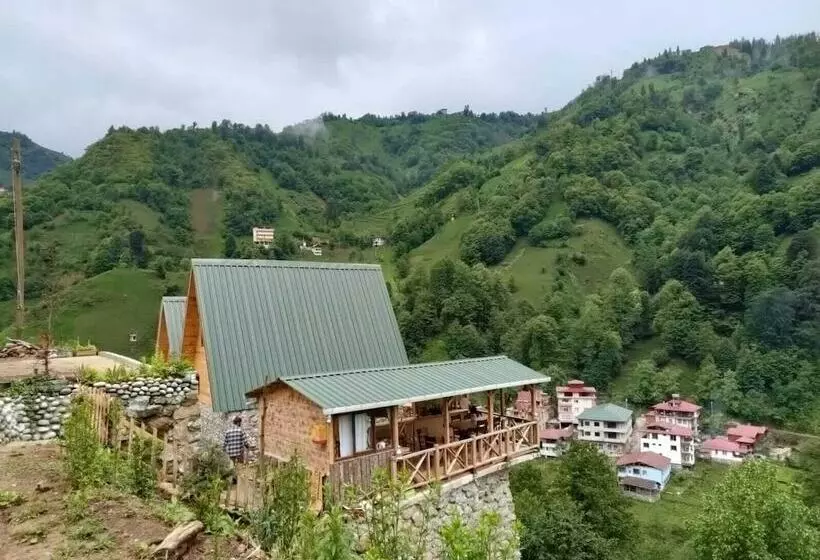 Hotelli Purkinora Bungalov