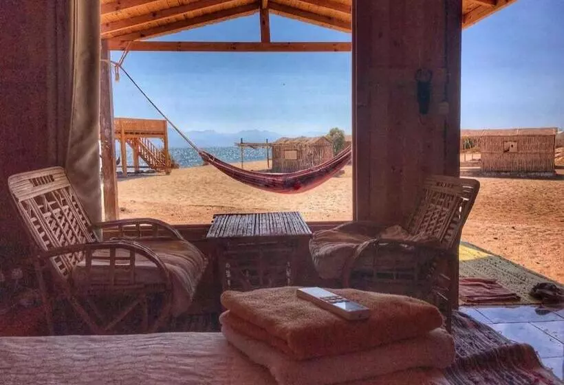 هتل Yasmina Beach