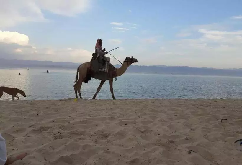 هتل Yasmina Beach