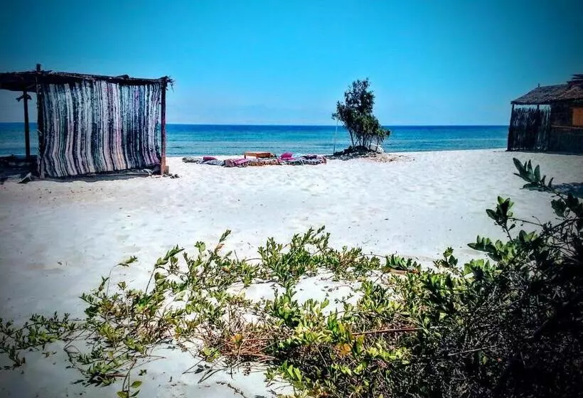 هتل Yasmina Beach