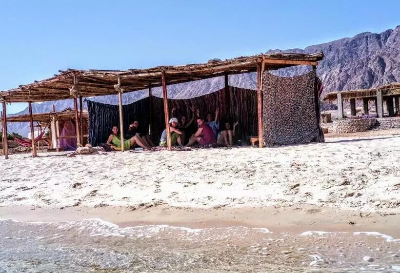 هتل Yasmina Beach