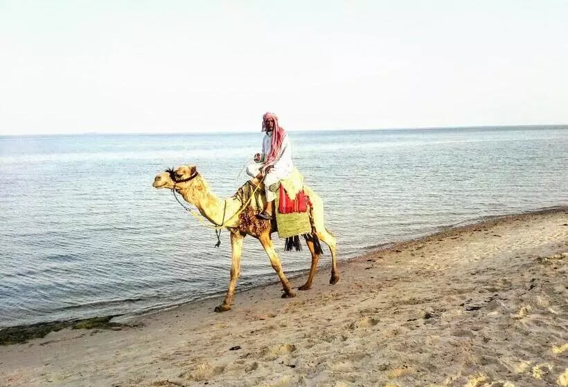 هتل Yasmina Beach