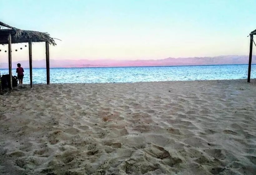 هتل Yasmina Beach