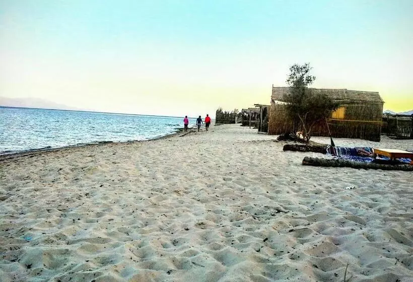 هتل Yasmina Beach