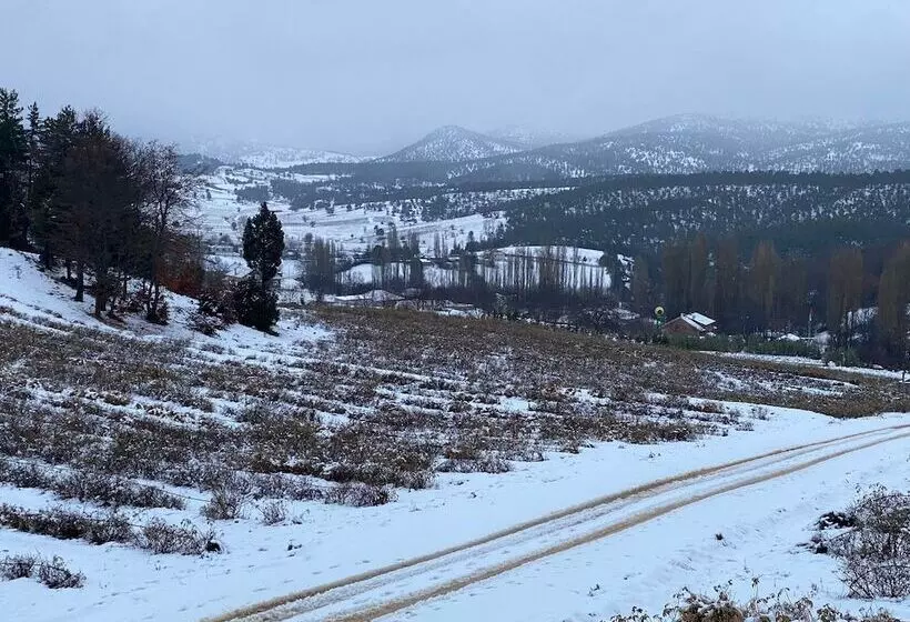 La Vie En Rose Otel By Söğütdağı