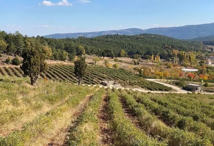 La Vie En Rose Otel By Söğütdağı