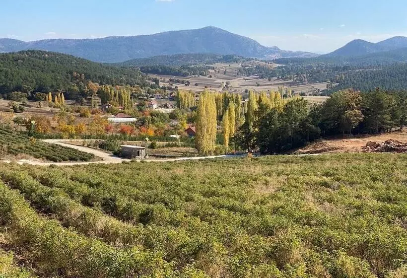 La Vie En Rose Otel By Söğütdağı