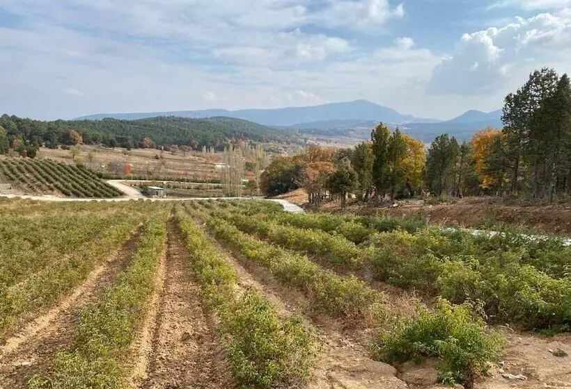 La Vie En Rose Otel By Söğütdağı