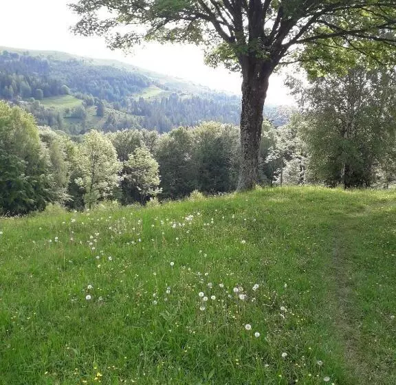 Majatalo заграйка