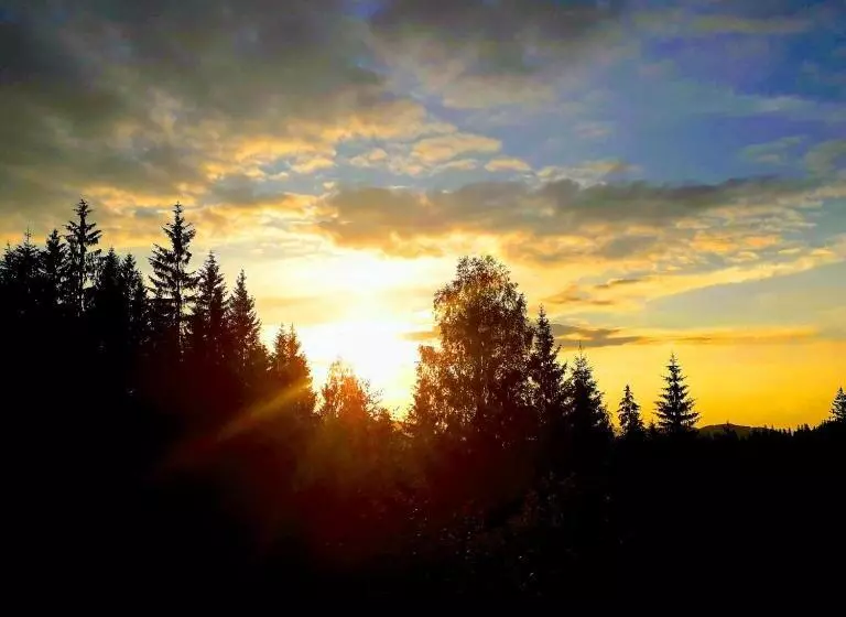 Majatalo заграйка