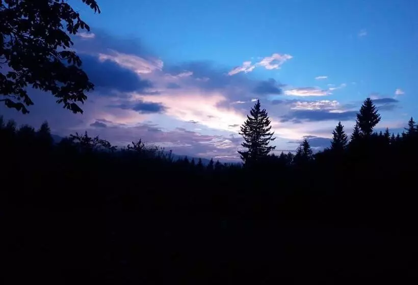 Majatalo заграйка