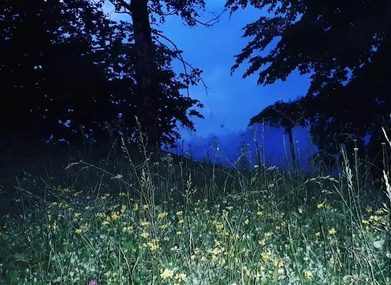 Majatalo заграйка