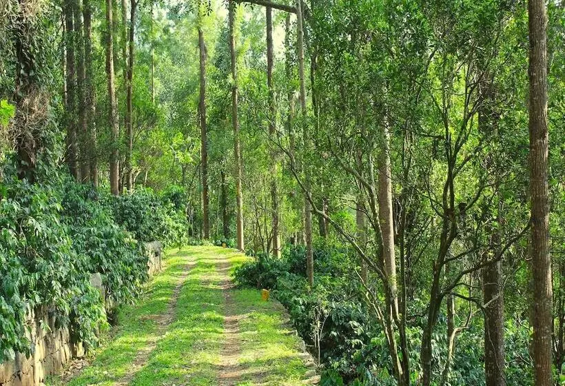 Lomakeskus The Last Shola