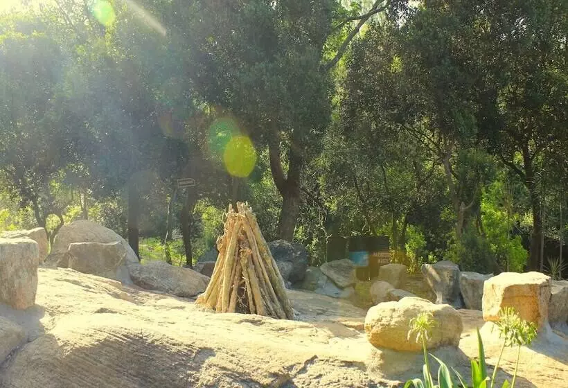 Lomakeskus The Last Shola