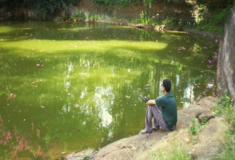 Resort The Last Shola