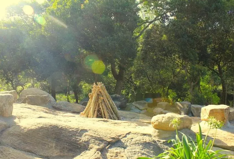 Lomakeskus The Last Shola