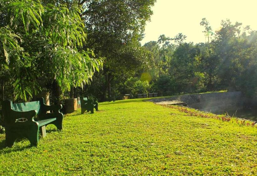 Resort The Last Shola