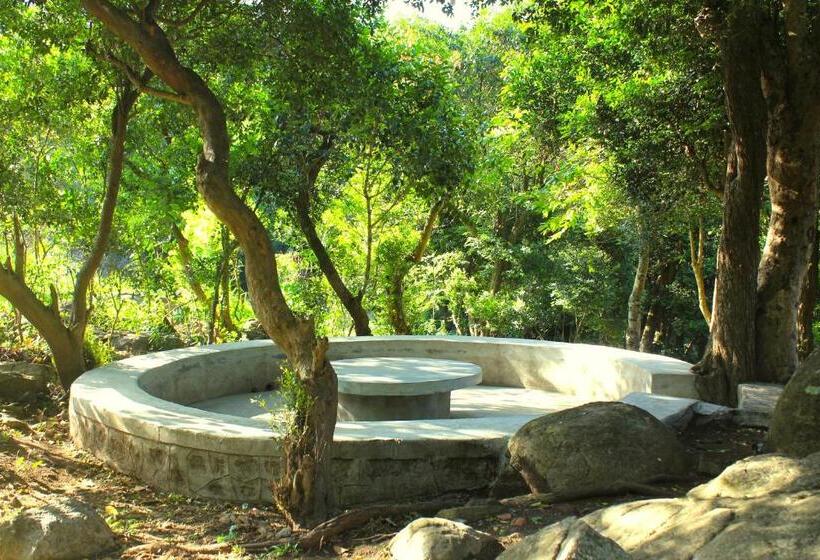 Resort The Last Shola