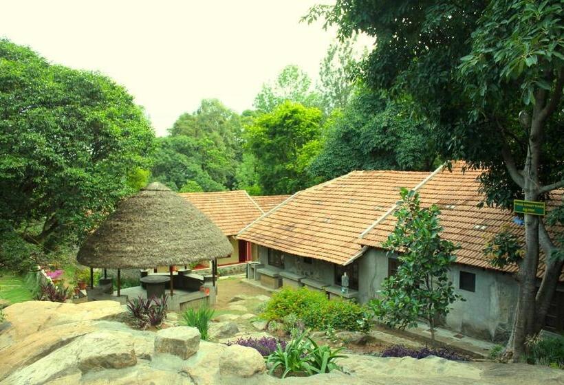 Resort The Last Shola