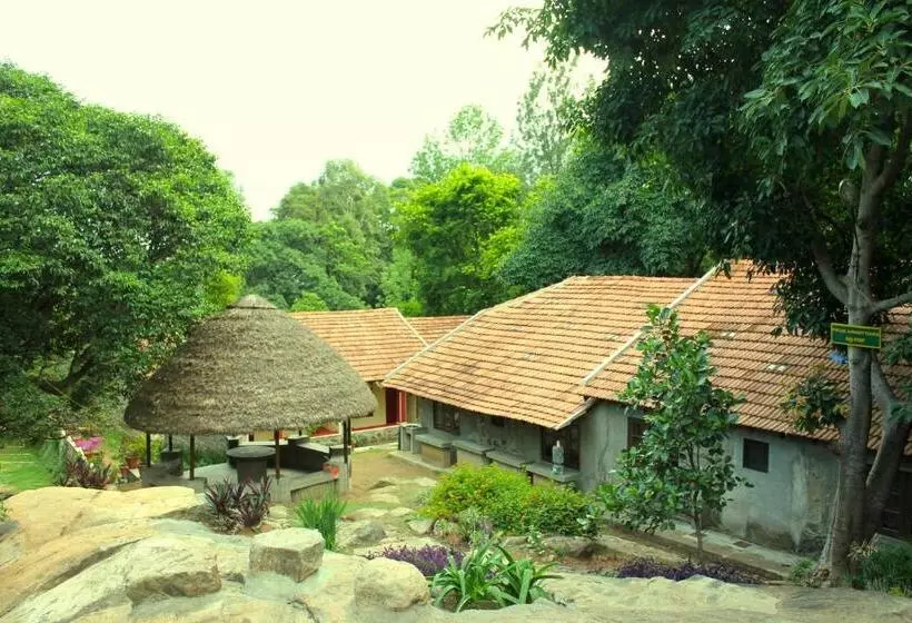 Lomakeskus The Last Shola