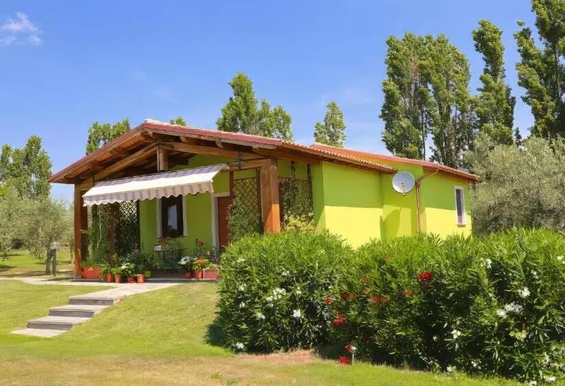 هتل Agriturismo L Elce