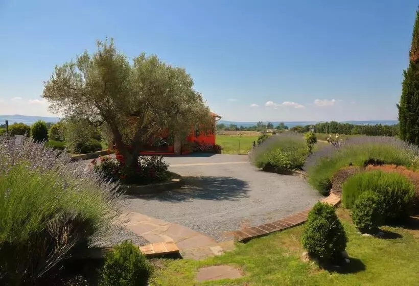 هتل Agriturismo L Elce