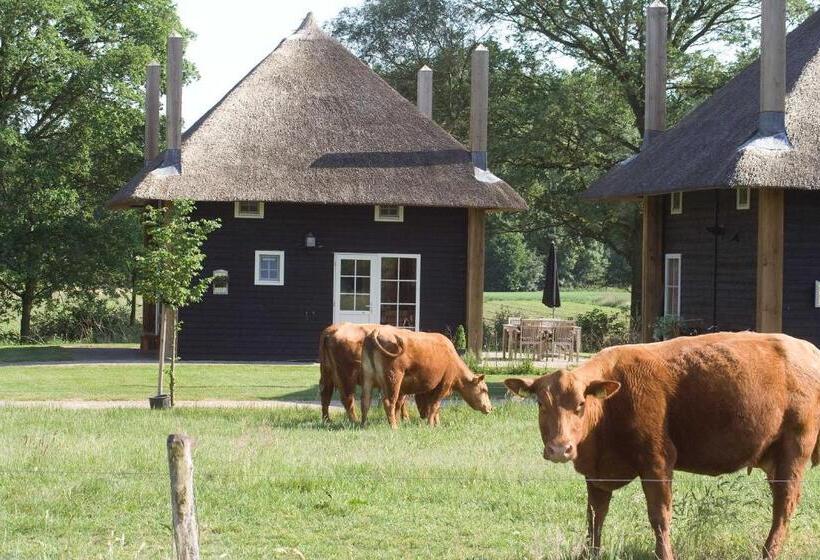 Hotelli Erve Woolderink