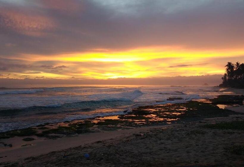 Pension Easy Stay Lodge