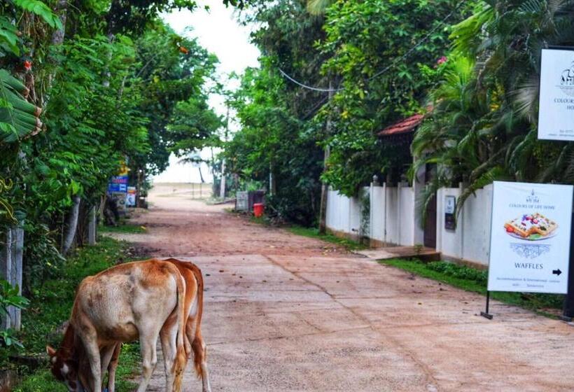 Pension Easy Stay Lodge