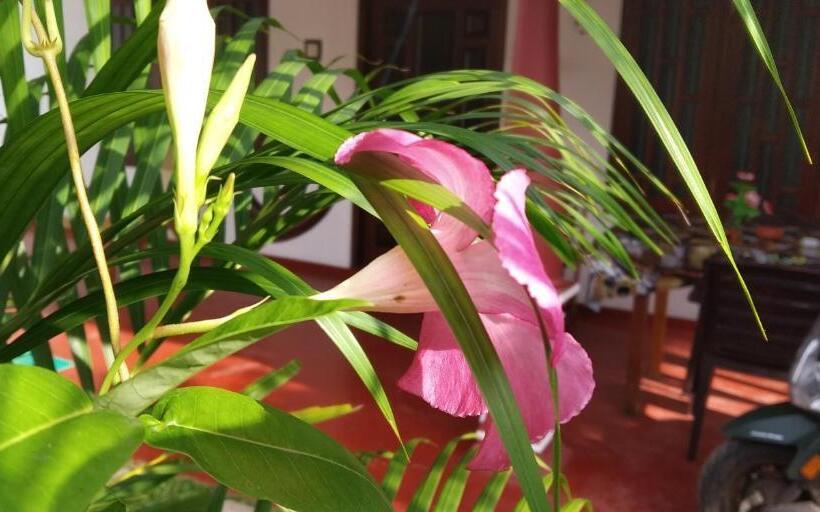 Pension Easy Stay Lodge