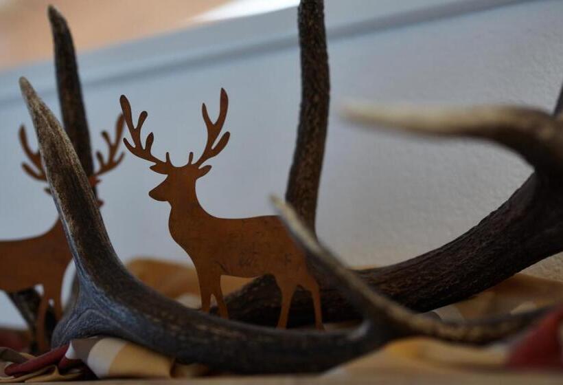 膳宿费 Haus Sepp Gruber