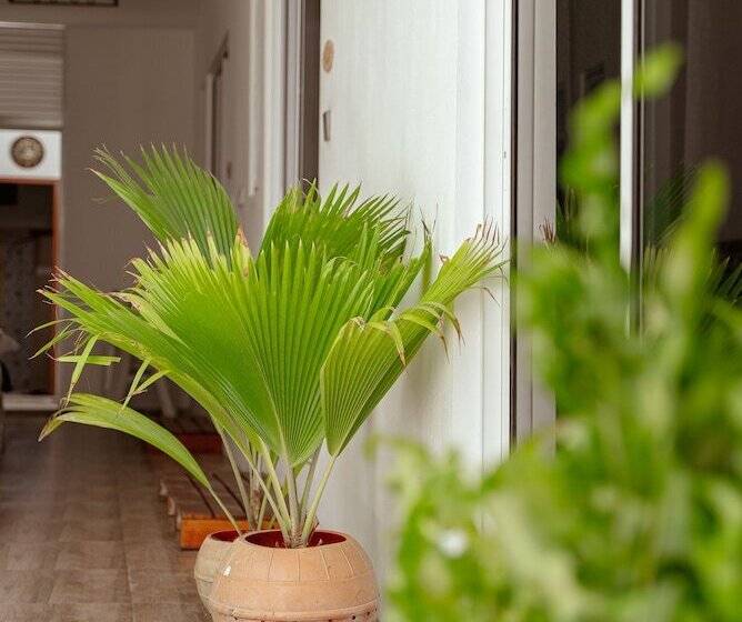 پانسیون Holiday Crib