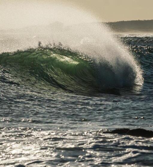 Pension Las Palmas Beach Hostel