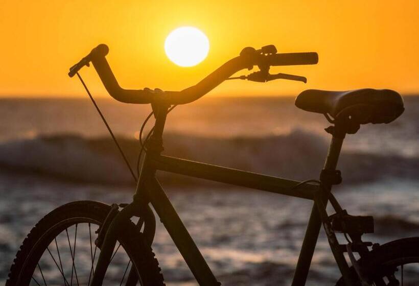 Pension Las Palmas Beach Hostel