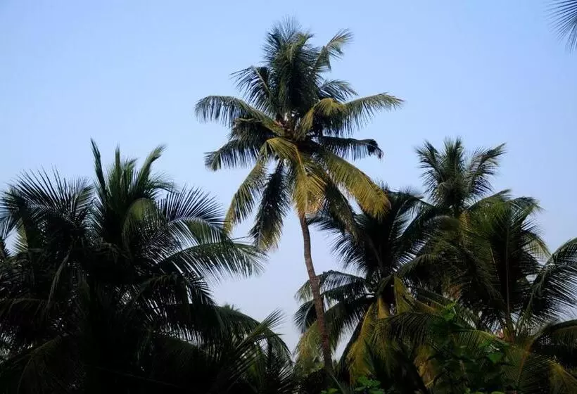 Majatalo Sai Sneh Holidays Cottage