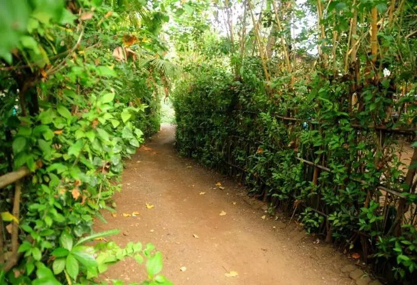 Majatalo Sai Sneh Holidays Cottage