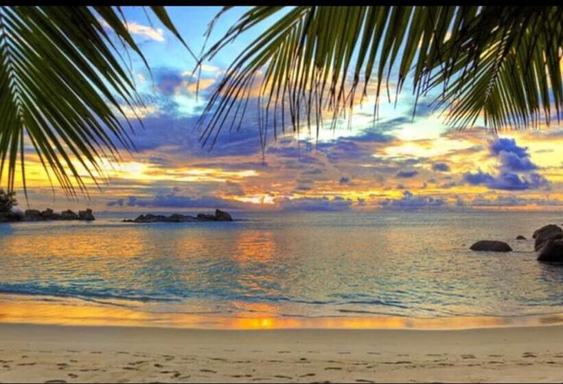 بنسيون Surf Lodge