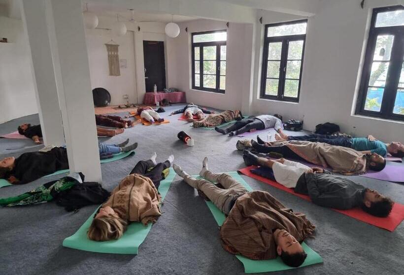 פנסיון Tripzlabs