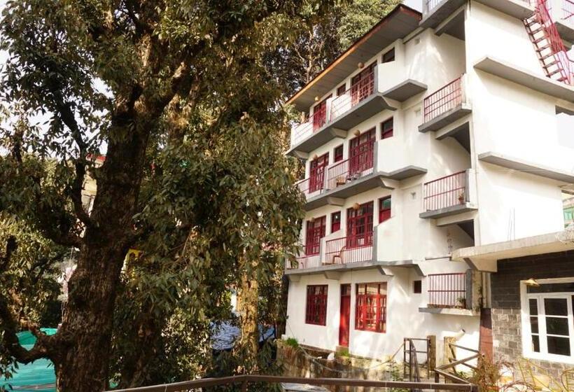 פנסיון Tripzlabs