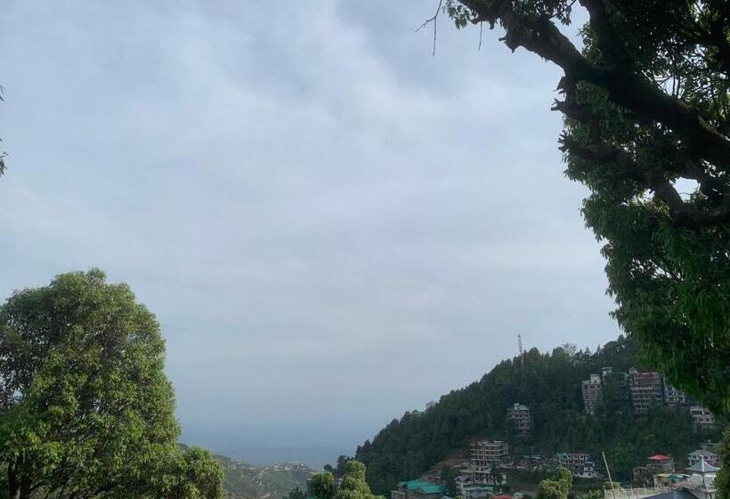 פנסיון Tripzlabs