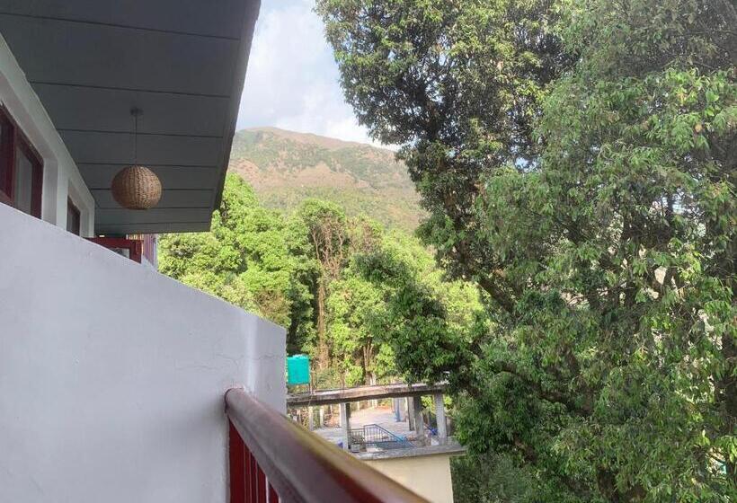 פנסיון Tripzlabs