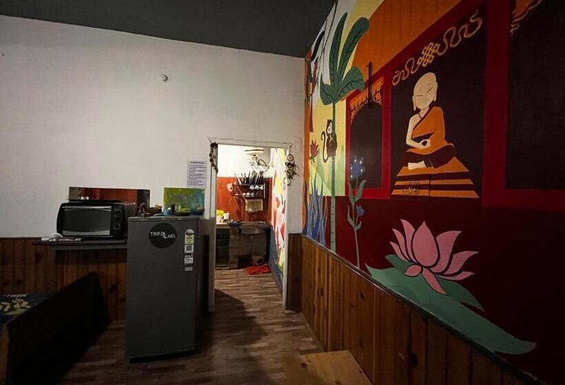 פנסיון Tripzlabs