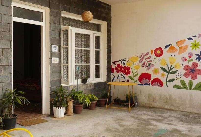 פנסיון Tripzlabs