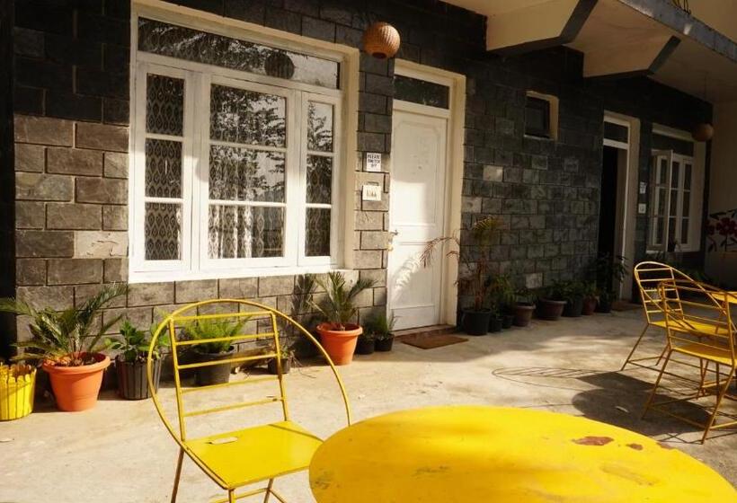 פנסיון Tripzlabs